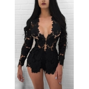 Sexy V Neck Long Sleeves Hollow-out Black Lace Two