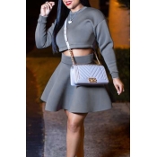 Lovely Sweet Long Sleeves Grey Two-piece Skirt Set