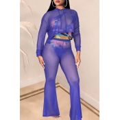 Lovely Sexy See-through Blue Two-piece Pants Set (