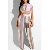 Lovely Stylish Striped Light Purple Two-piece Pant