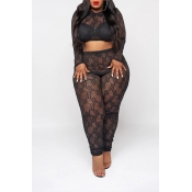Lovely Sexy See-through Printed Black Plus Size Tw