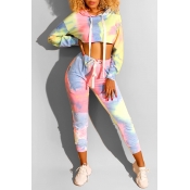 Lovely Casual Hooded Collar Multicolor Two-piece P