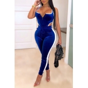 Lovely Leisure Patchwork Blue Two-piece Pants Set