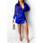 Lovely Trendy Turndown Collar Blue Mini Dress