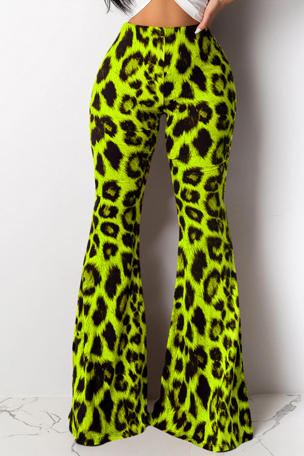 Lovely Chic Leopard Printed Green Pants