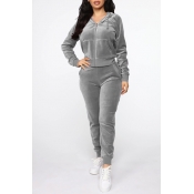 Lovely Casual Hooded Collar Basic Grey Two-piece P