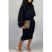 Lovely Casual Turtleneck Black Two-piece Skirt Set