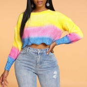 Lovely Casual Rainbow Multicolor Sweater
