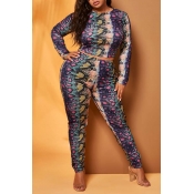 Lovely Casual Print Multicolor Plus Size Two-piece