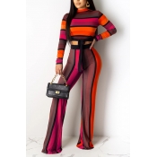 Lovely Trendy Striped Red Two-piece Pants Set