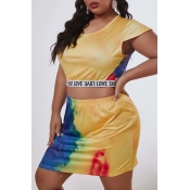 Lovely Trendy Print Multicolor Plus Size Two-piece