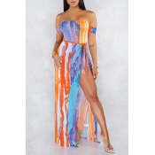 Lovely Striped Multicolor One-piece Swimsuit(With 