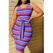Lovely Leisure Striped Purple Knee Length Dress