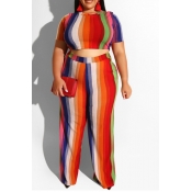 Lovely Stylish Striped Bright Red Plus Size Two-pi