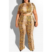 Lovely Stylish Print Apricot Plus Size Two-piece P