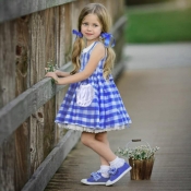 lovely Sweet Grid Print Blue Girl Knee Length Dres