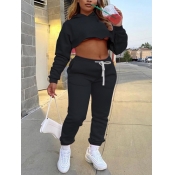 LW Hooded Collar Crop Top Tracksuit Set