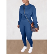 Lovely Casual O Neck Basic Blue Plus Size Two-piec
