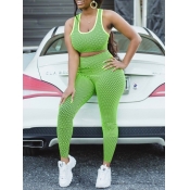 Lovely Sportswear U Neck High-waisted Green Two Pi