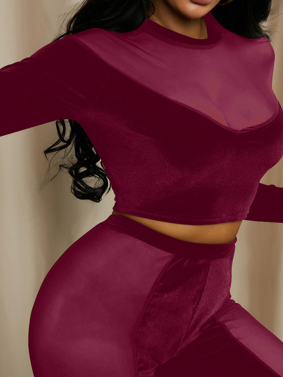 LW SXY Velvet Round Neck See-through Pants Set