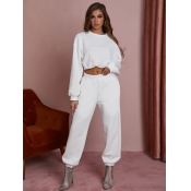 LW Plaid Pattern Crop Top Pants Set