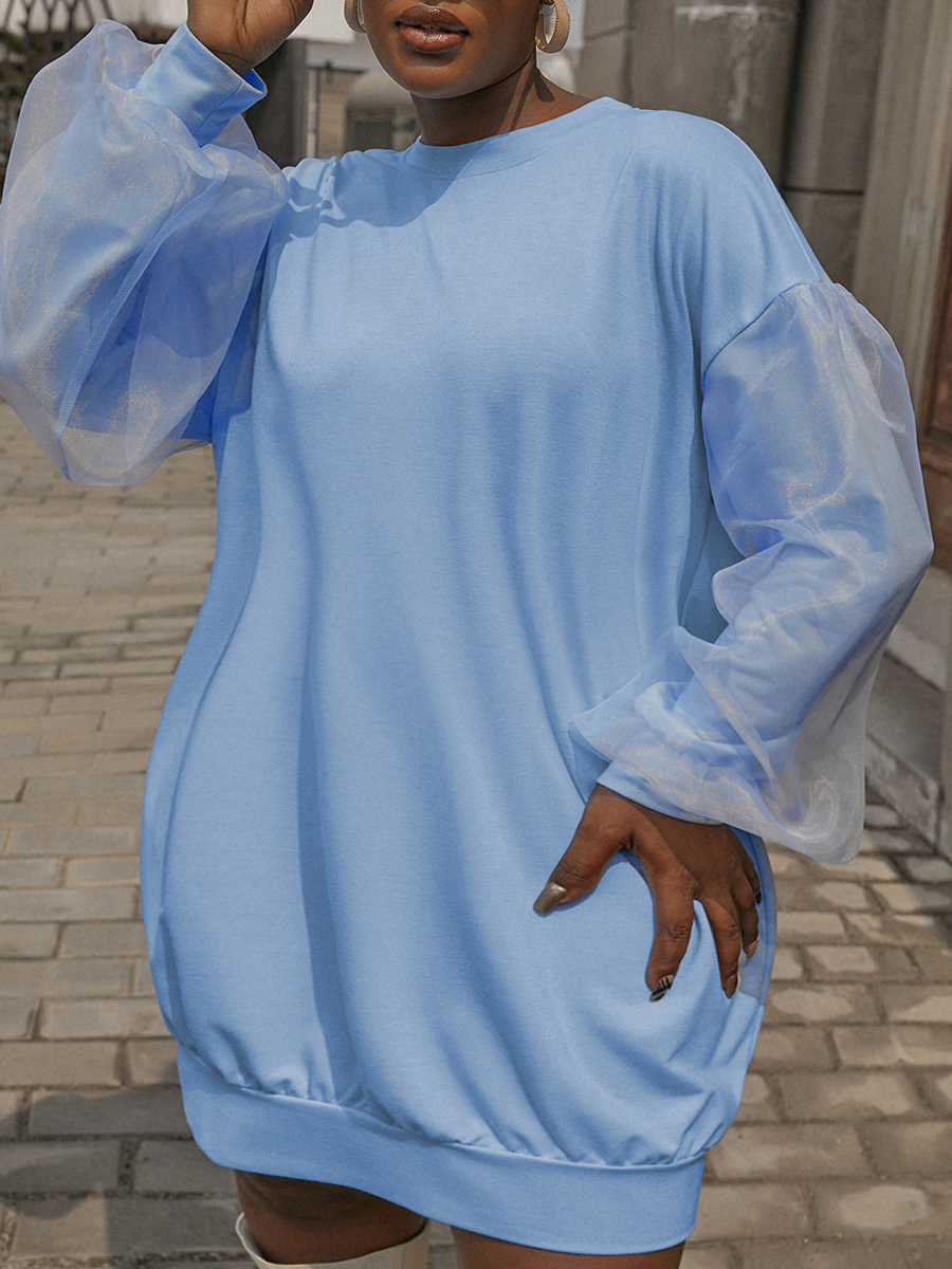 LW Mesh Lantern Sleeve Sweat Dress