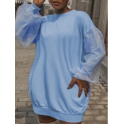LW Mesh Lantern Sleeve Sweat Dress