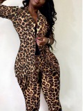 LW Plus Size Leopard Print Skinny Blazer Pants Set